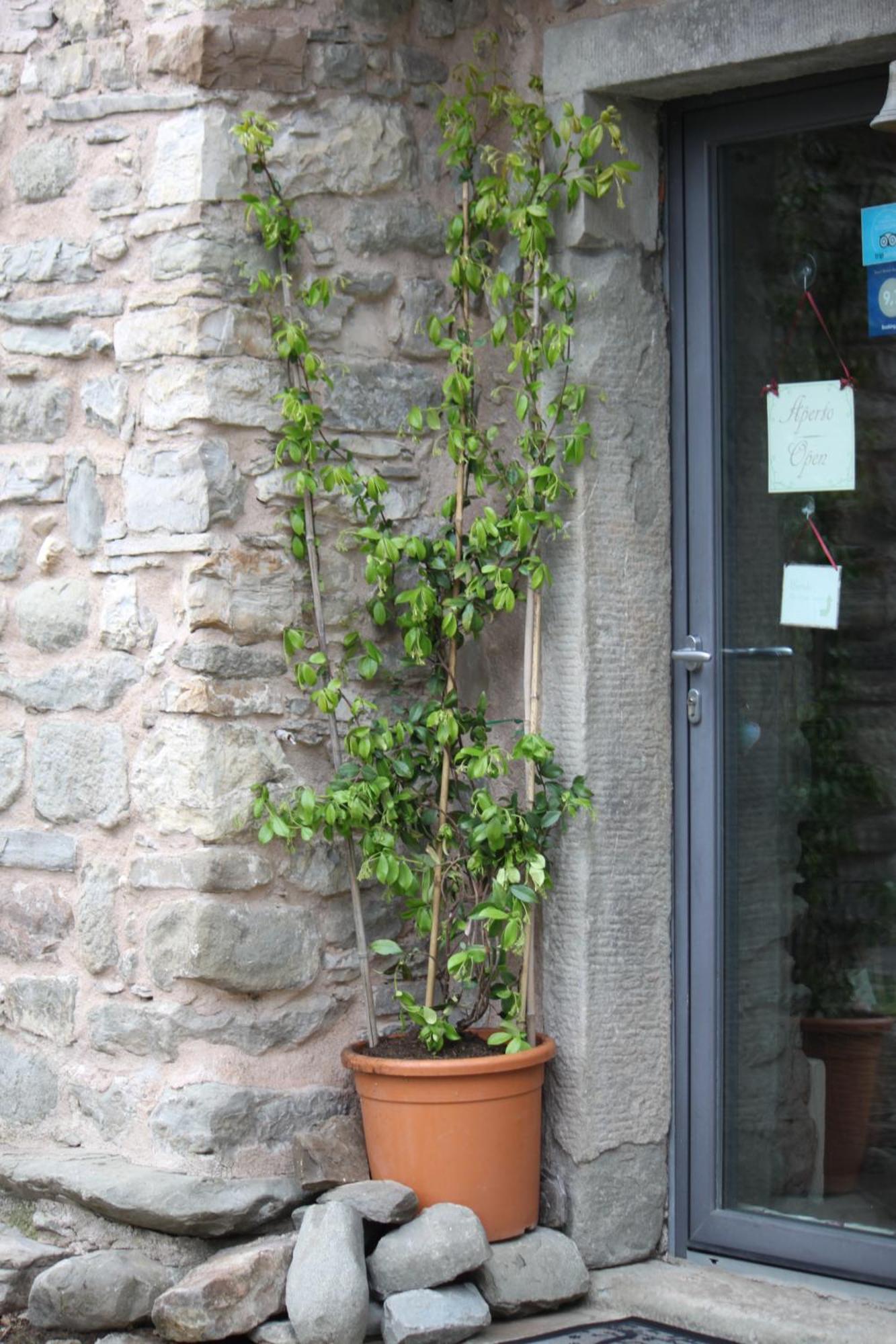 Eremo Gioioso Vila Pontremoli Exterior foto